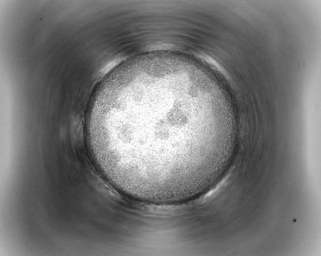 X0000086980921200704301314