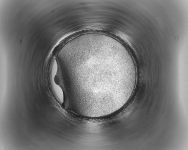 X0000086980923200704301314