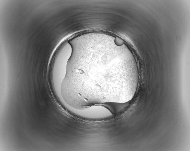 X0000086980924200704301314