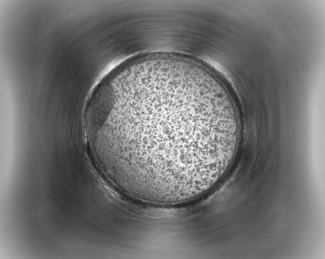 X0000086980925200704301314