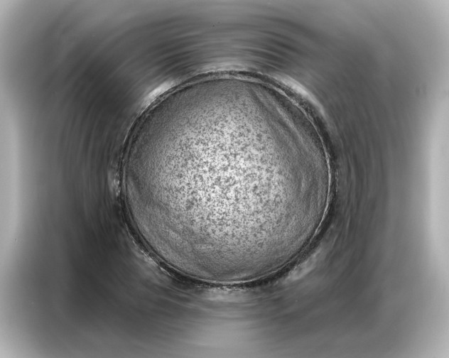 X0000086980929200704301314