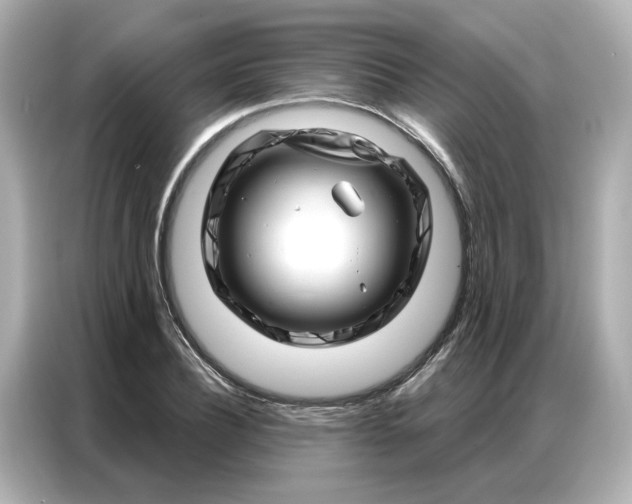 X0000086980932200704301315