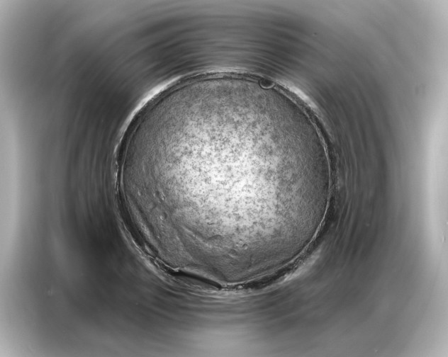 X0000086980933200704301315