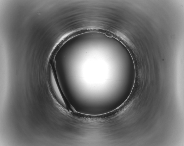 X0000086980934200704301315