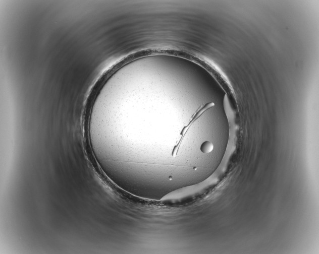 X0000086980935200704301315