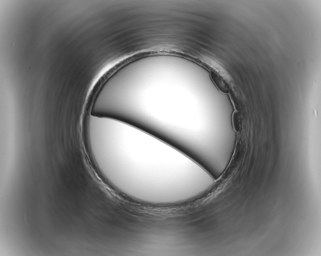 X0000086980936200704301315