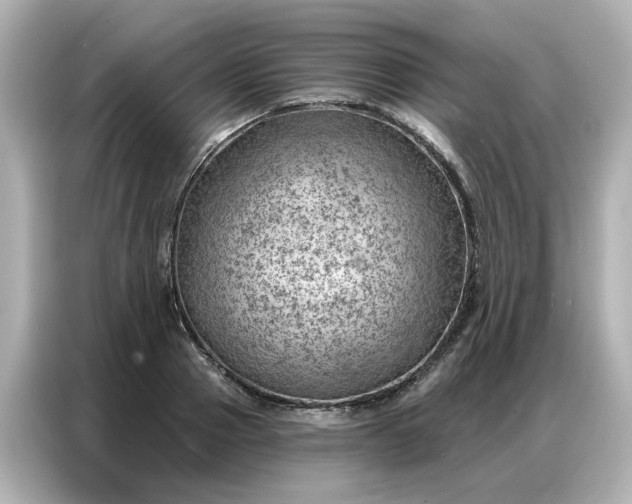 X0000086980937200704301315