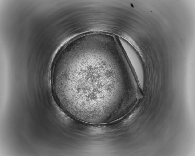 X0000086980939200704301315