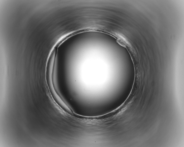 X0000086980940200704301315