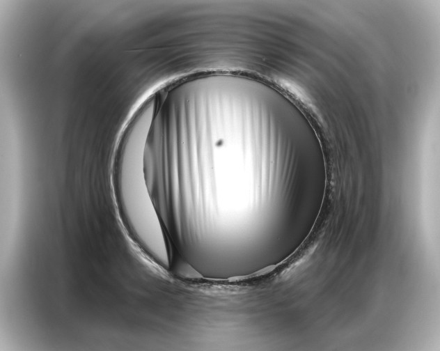 X0000086980942200704301315