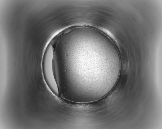 X0000086980943200704301315