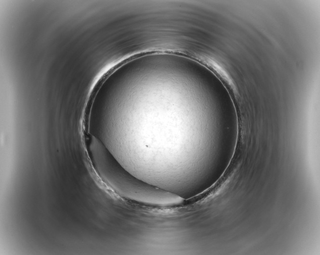 X0000086980944200704301315