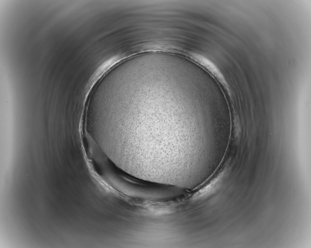 X0000086980946200704301315