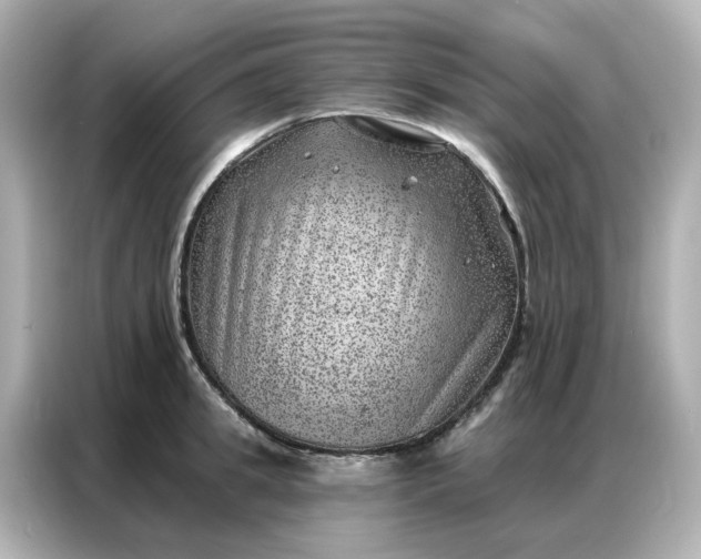 X0000086980949200704301315