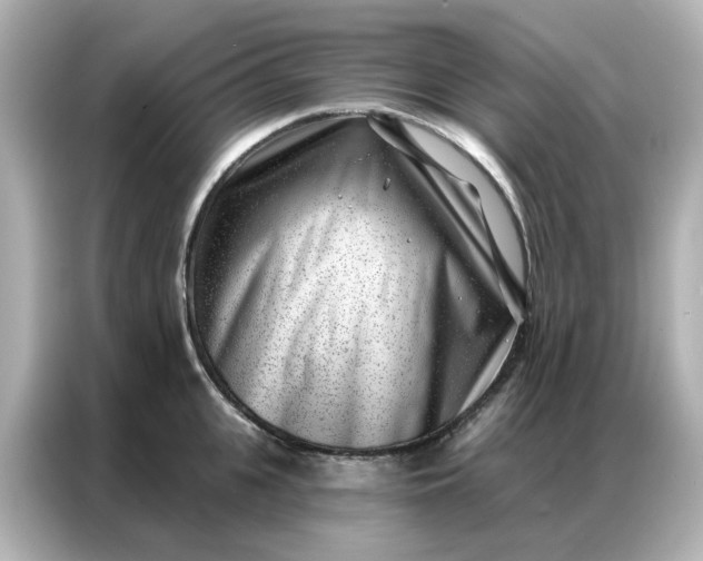 X0000086980951200704301315