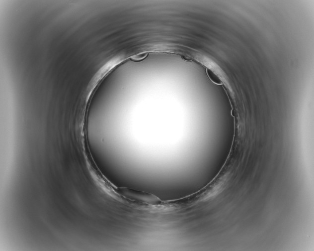 X0000086980954200704301315