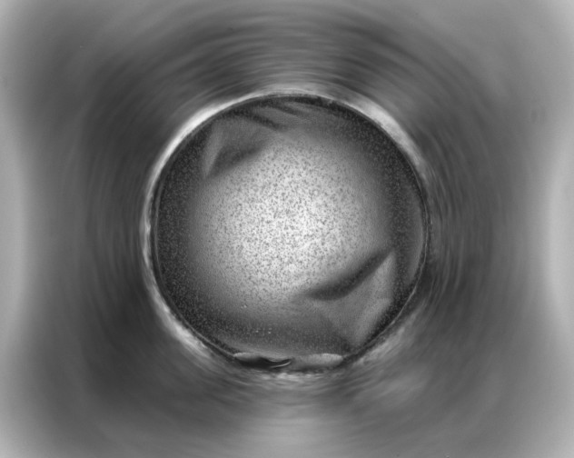 X0000086980955200704301315