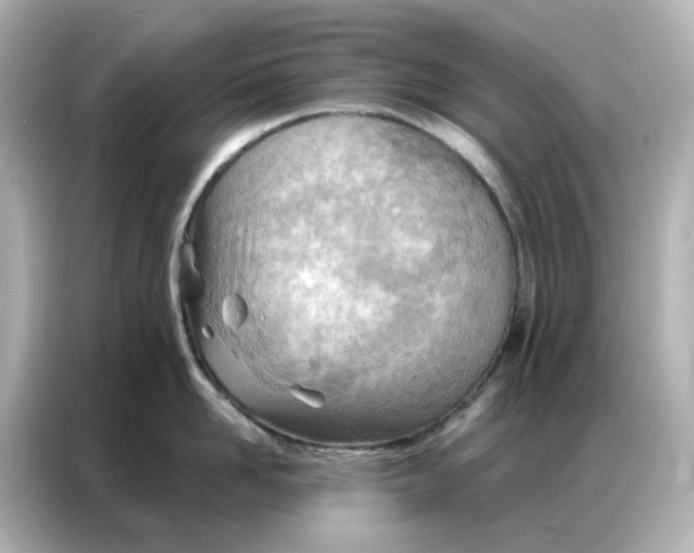 X0000086980958200704301315