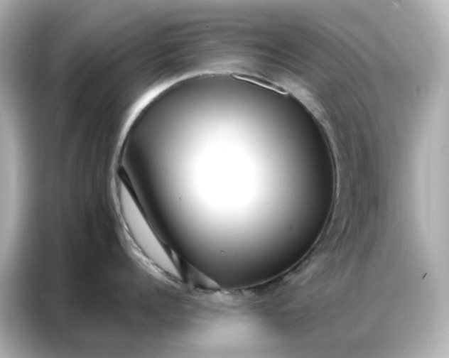 X0000086980960200704301315