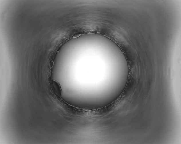 X0000086980961200704301314