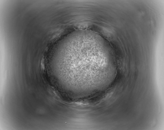 X0000086980962200704301314