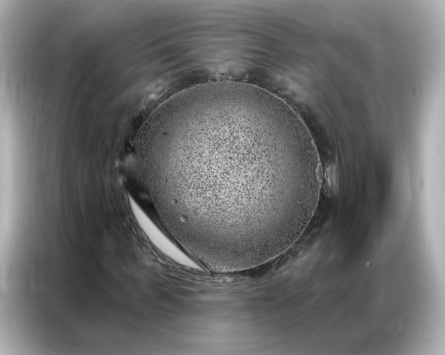 X0000086980963200704301314