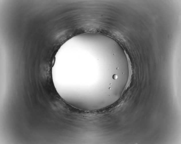 X0000086980964200704301314