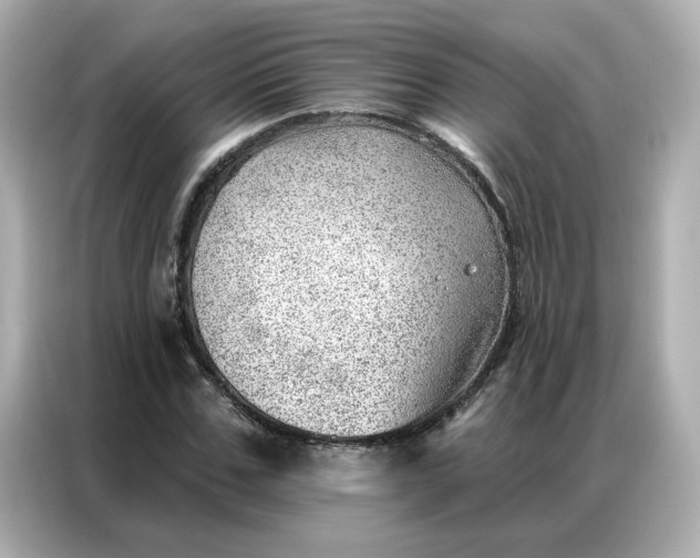 X0000086980971200704301314