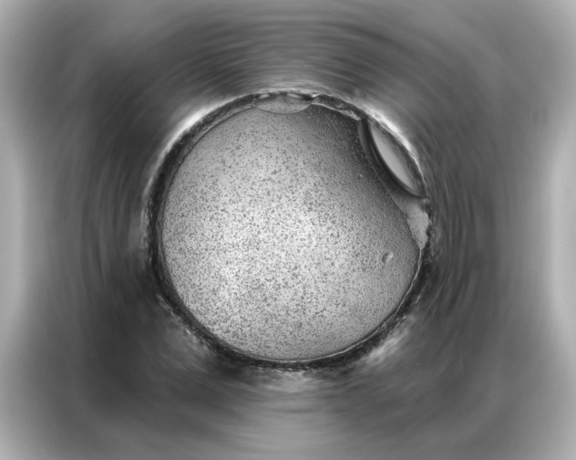 X0000086980975200704301314