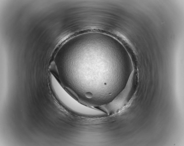 X0000086980977200704301314