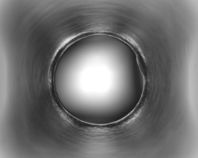 X0000086980981200704301314