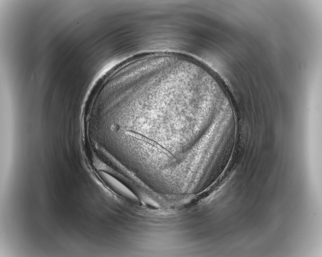 X0000086980982200704301314