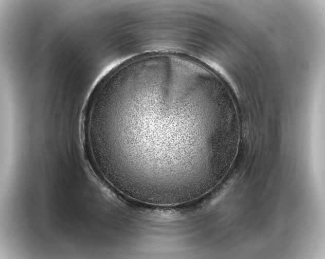 X0000086980983200704301314