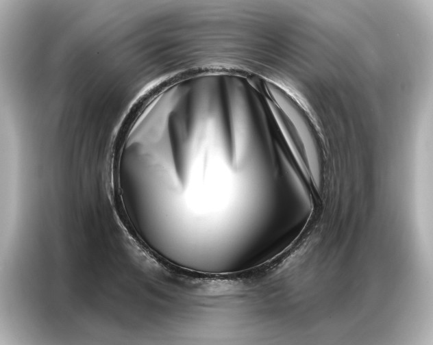 X0000086980984200704301314