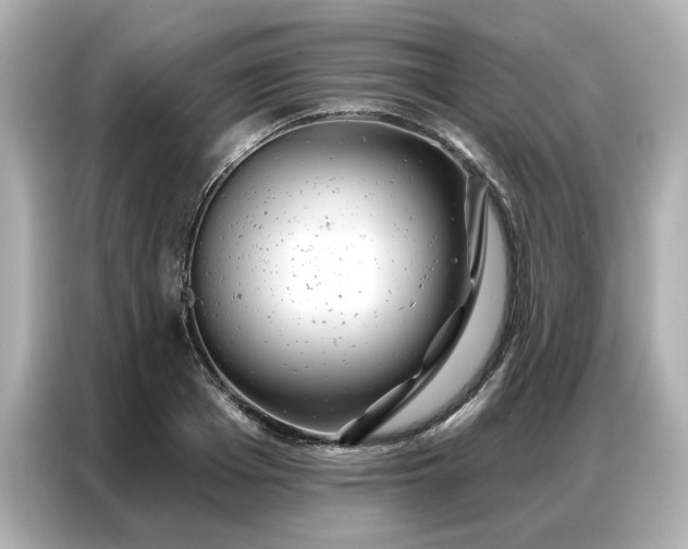 X0000086980985200704301314