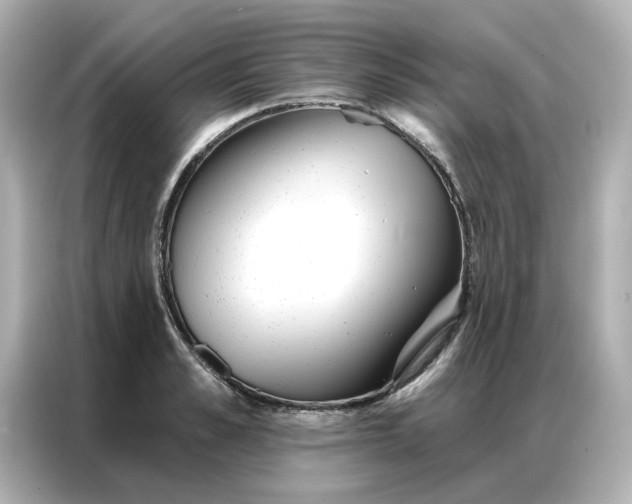 X0000086980989200704301314