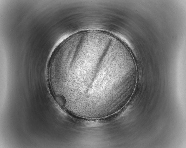 X0000086980990200704301314