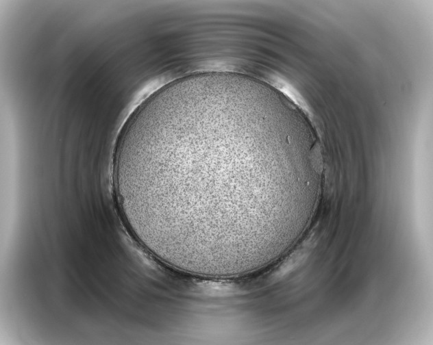 X0000086980994200704301314