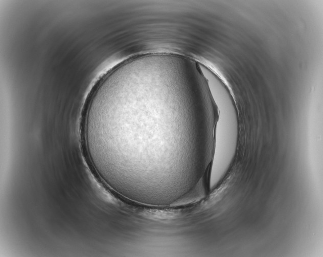 X0000086980995200704301314