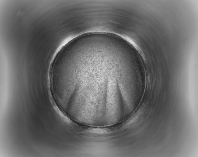 X0000086980998200704301314