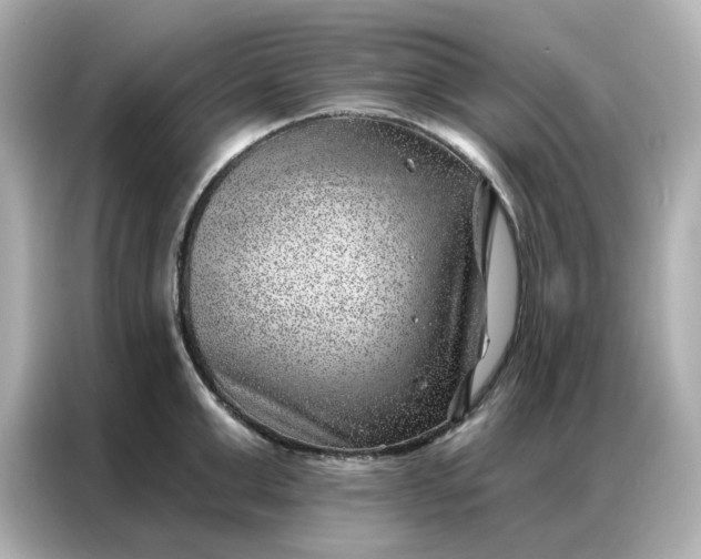 X0000086980999200704301314