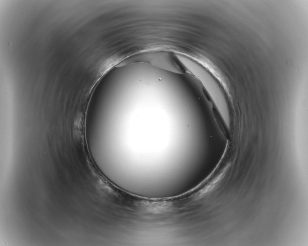 X0000086981001200704301314