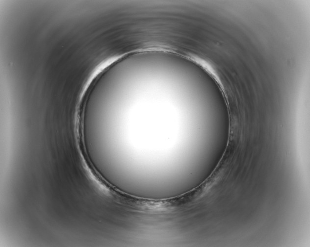 X0000086981003200704301314