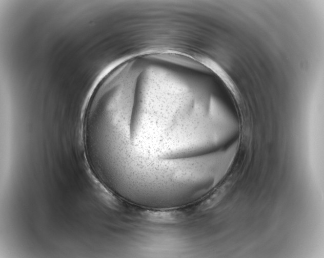 X0000086981004200704301314