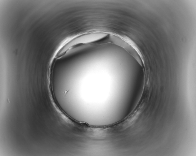 X0000086981005200704301314