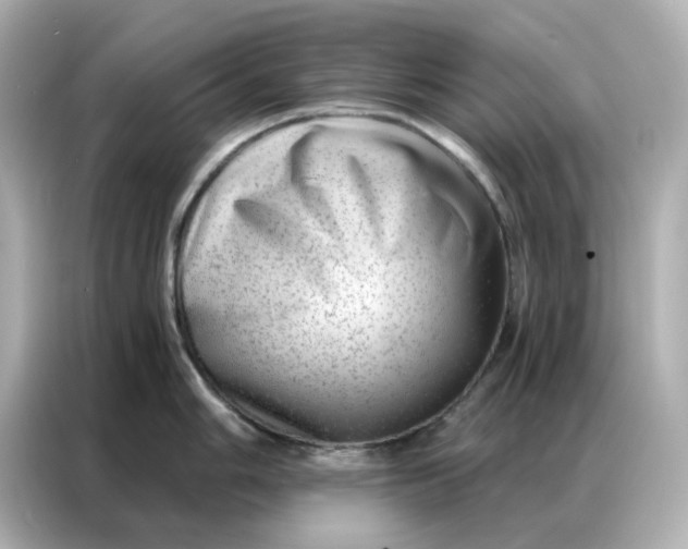 X0000086981006200704301314