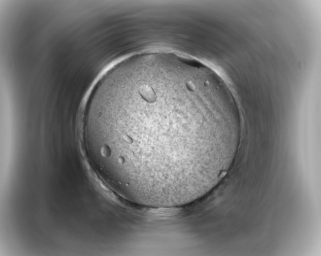 X0000086981008200704301314