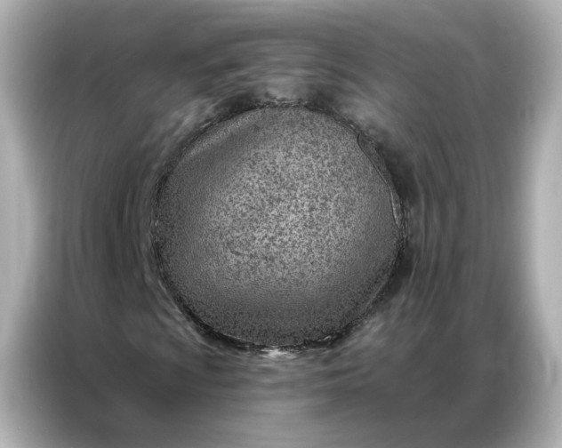 X0000086981009200704301313