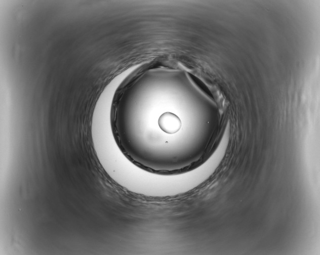 X0000086981010200704301313