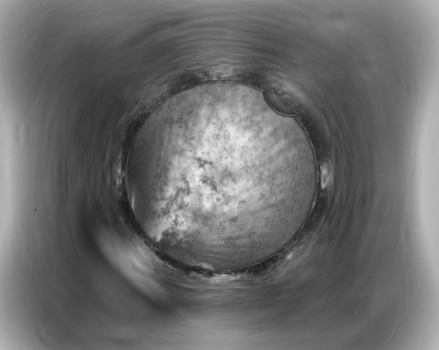 X0000086981011200704301313